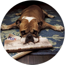 michinao fukui profile picture