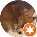 もち profile picture