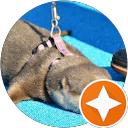 Setsu profile picture
