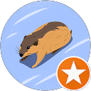 HK profile picture