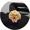 issy profile picture