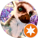 y k profile picture